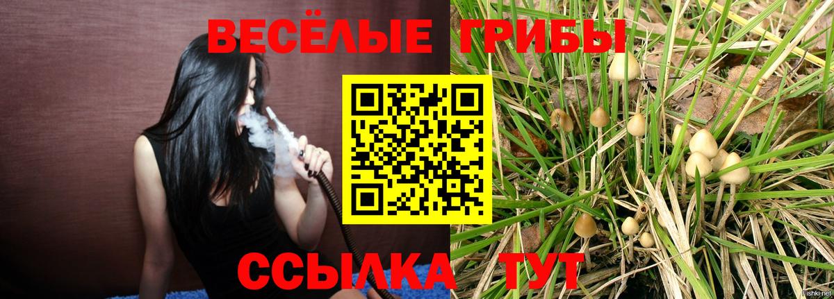 Псилоцибиновые грибы мицелий  Галлюциногенные грибы мухоморы  Заинск  Вход с VPN 