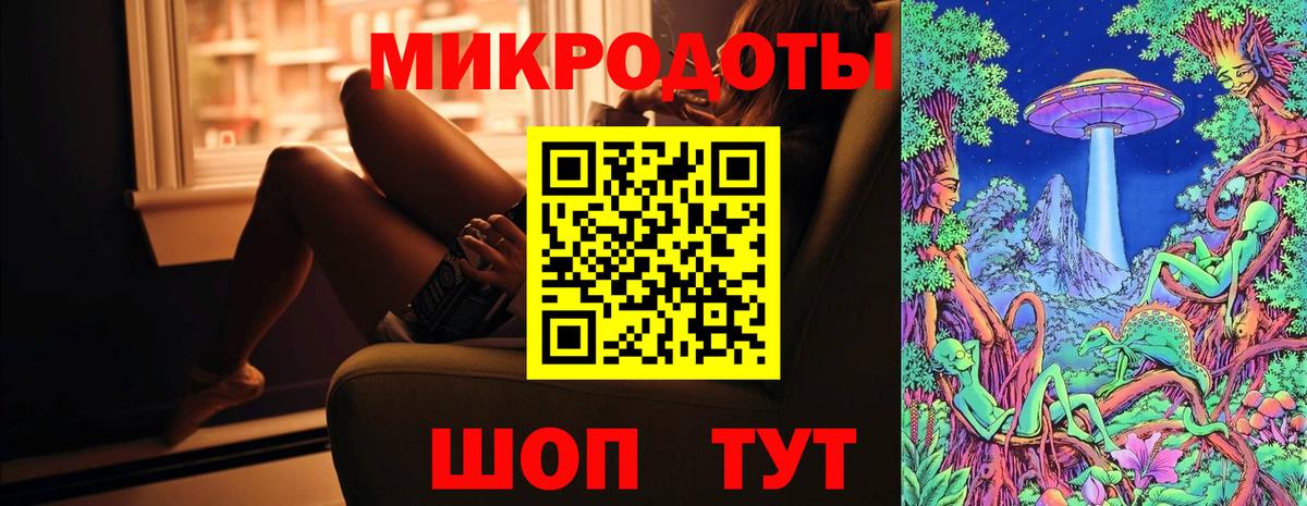 Псилоцибиновые грибы Psilocybe Заинск